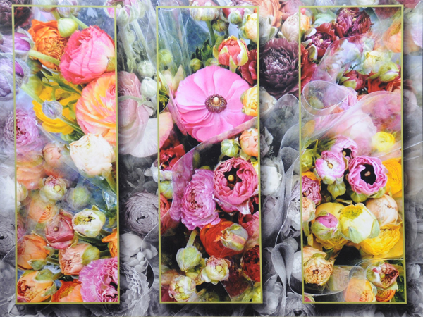 Flowers with three framed areas