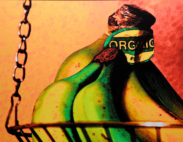 Yellow and Green Posterized Bananas