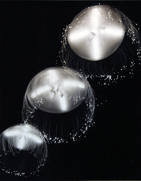 Three Jellyfish