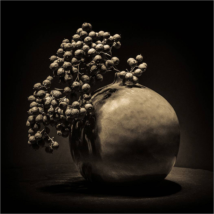 Round vase with branch of round seed pods