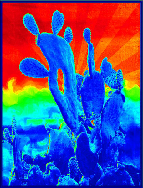 Bright blue cactus with primary colors in background