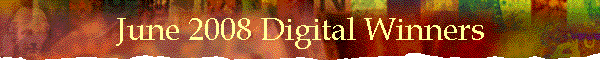 June 2008 Digital Winners